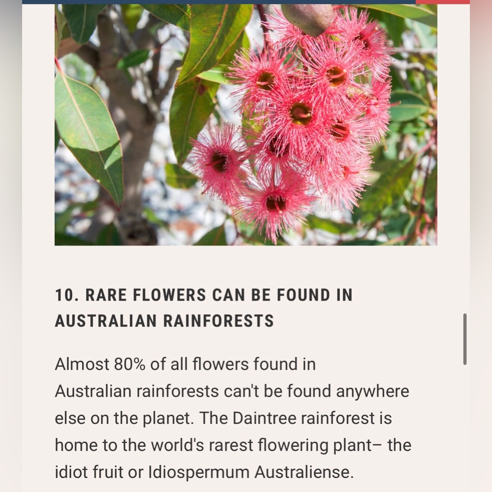 #4 LIKE LISTING #5 Comments Full - Picture 6 of 16